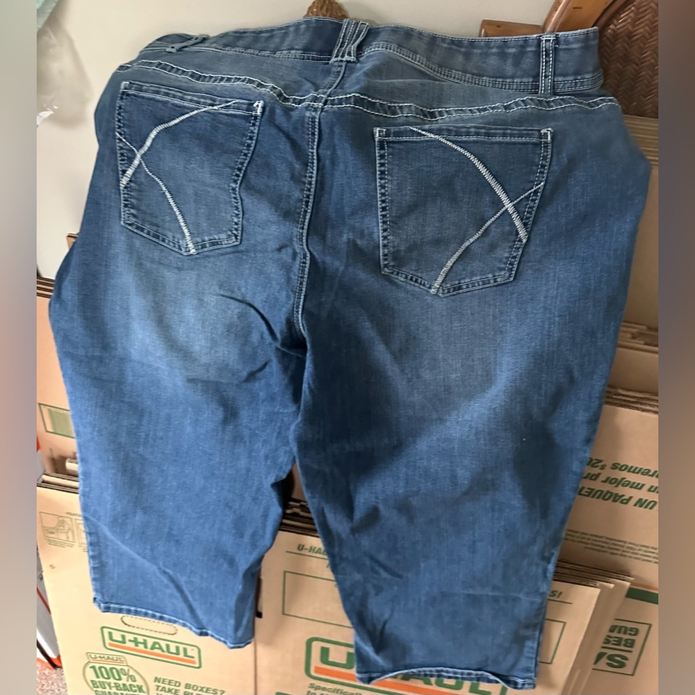 Lane Bryant Capri - Size 24